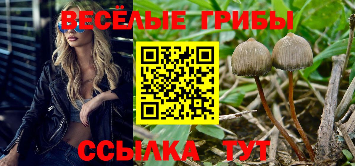 Россошь  Галлюциногенные грибы ЛСД  Псилоцибиновые грибы Cubensis  Вход с VPN 